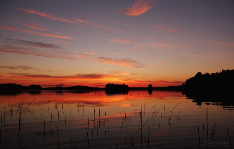 Летний отдых в Saimaa Lakeside